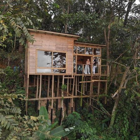 Luxury Tiny House - Minca Vila Exterior foto